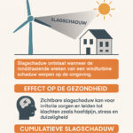 Windturbines: effect van slagschaduw op gezondheid en omgeving