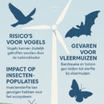Windturbines: risico’s voor vogels, vleermuizen en insectenpopulaties, en chemische vervuiling van grond en grondwater.